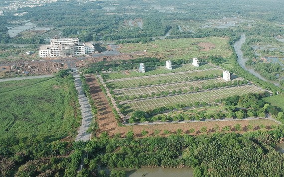 芽皮縣仁德居民區項目違反房地產經營、建設規定。