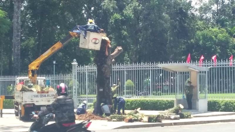 （圖源：互聯網） 