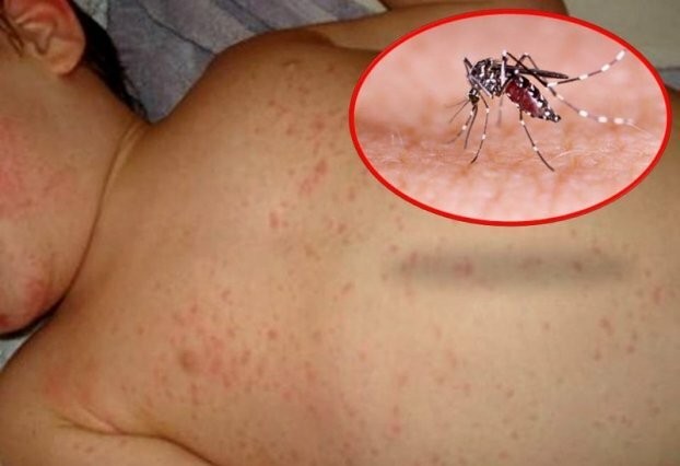 （示意圖源：互聯網） 