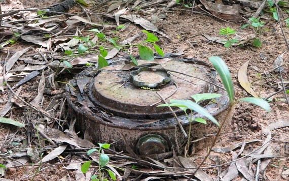 （示意圖源：互聯網） 