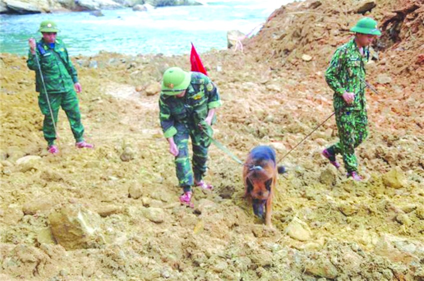 邊防24中專學校救援力量也以3隻軍犬參加尋找失蹤者。