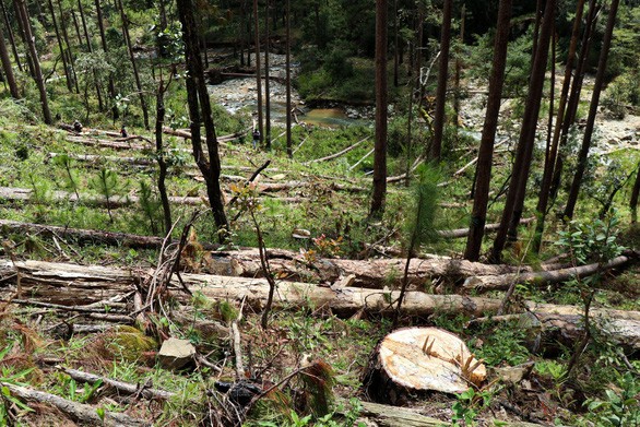 （示意圖源：互聯網） 