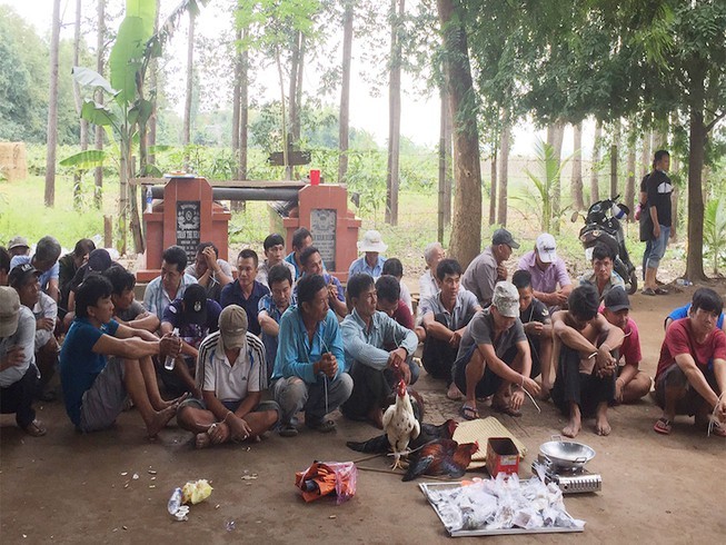 （圖源：互聯網） 