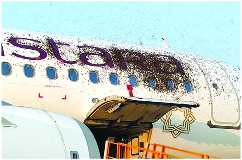 （圖源：互聯網） 