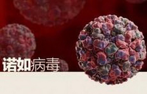 （圖源：互聯網） 