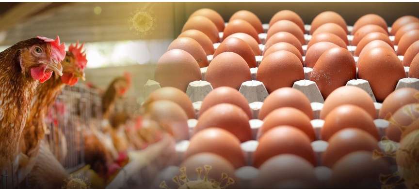 （示意圖源：互聯網） 