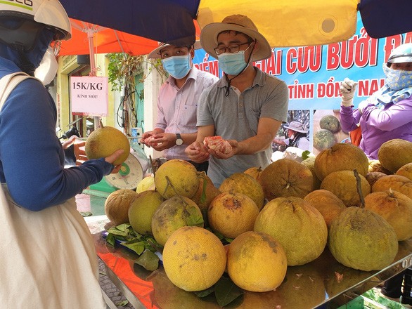 （圖源：互聯網） 