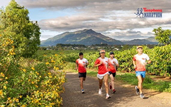 據2021年第六十二屆《前鋒報》國家長跑和馬拉松錦標賽組委會告知，《前鋒報》國家長跑和馬拉松錦標賽將於本月27-28日在嘉萊省波來古市舉行。