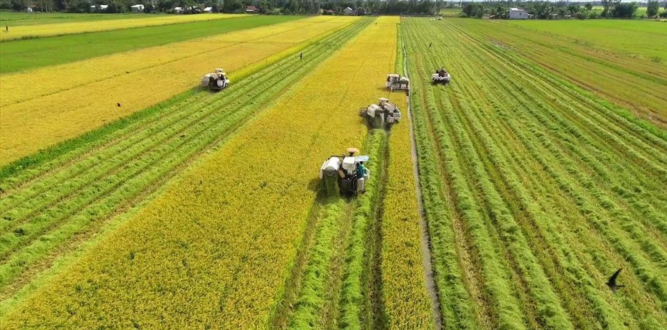 （示意圖源：互聯網） 