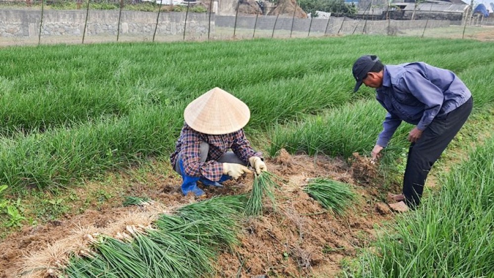 （示意圖源：互聯網） 