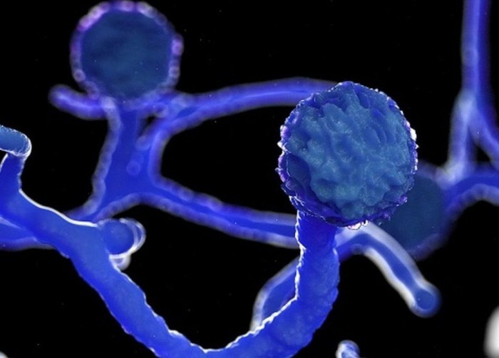 （圖源：互聯網） 