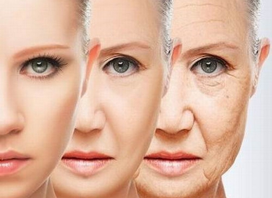 （示意圖源：互聯網） 