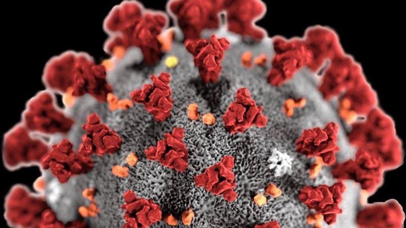 （圖源：互聯網） 