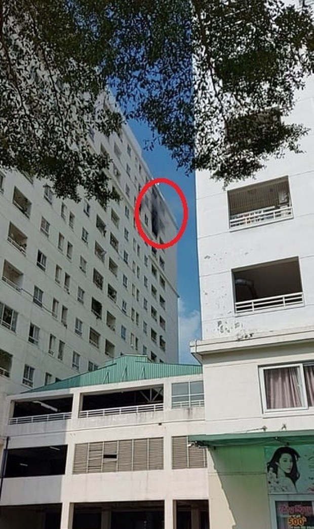 (圖源:互聯網)