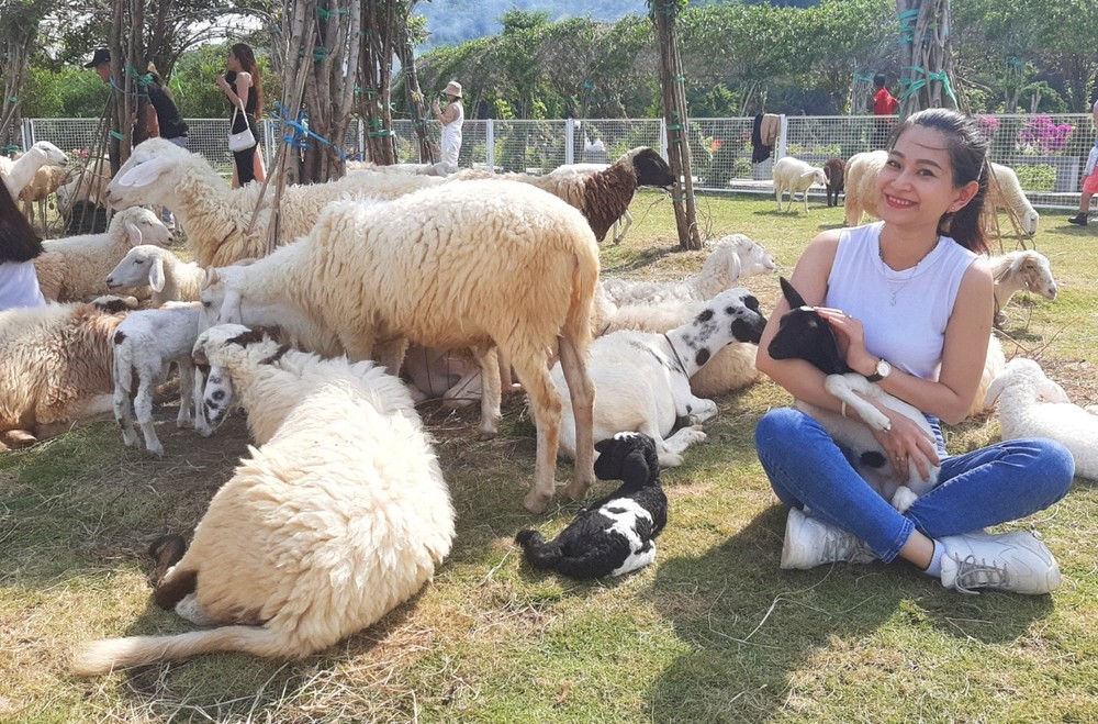 “綠油油草原”敲開春天大門 ảnh 2