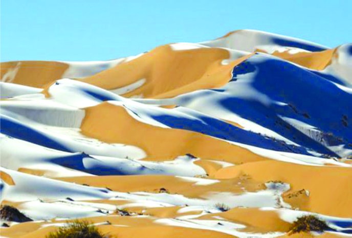 （圖源：互聯網）