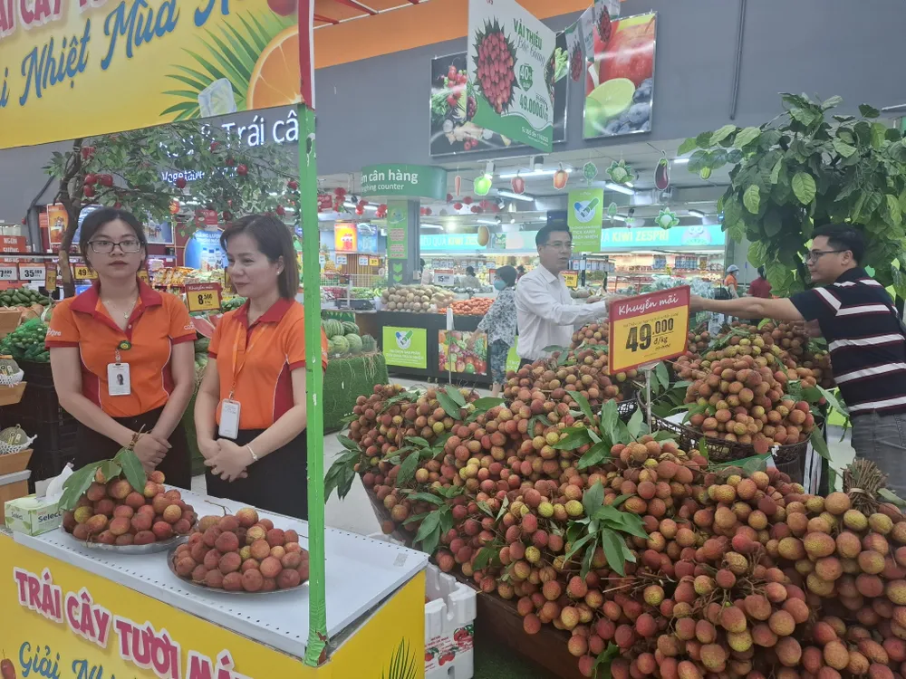 Vải thiều Bắc Giang đã nhập về tiêu thụ tại siêu thị Co.opXtra Linh Trung, TP Thủ Đức (TPHCM). Ảnh: ĐỨC TRUNG unnamed (1).jpg