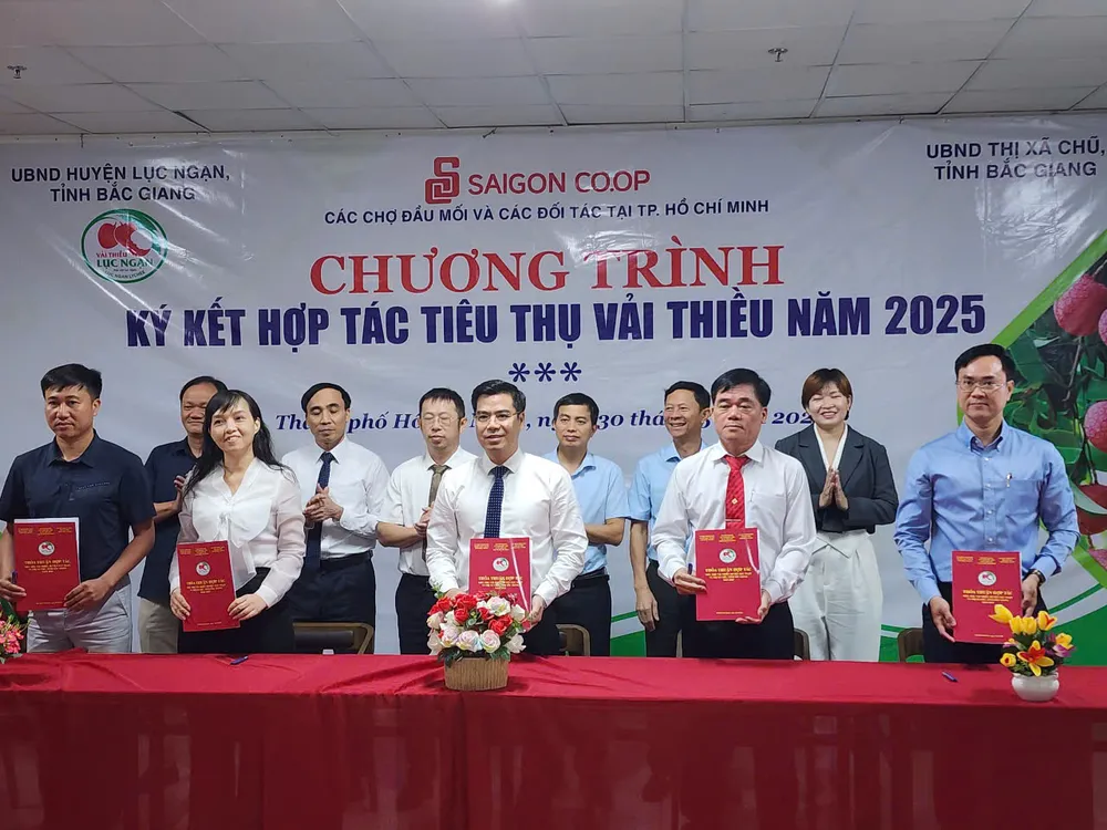 Lãnh đạo thị xã Chũ và huyện Lục Ngạn (tỉnh Bắc Giang) ký kết hợp tác tiêu thụ vải thiều với các doanh nghiệp, hợp tác xã chủ lực của TPHCM. Ảnh: ĐỨC TRUNG z6653682953680_cf15e3d0bba48d4a00ee6d1a4fb321ba.jpg