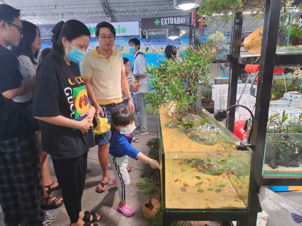 Các cháu thiếu nhi thích thú với các loại cá cảnh z6657098412279_82162e89a8fa041277fa66a63d075771.jpg