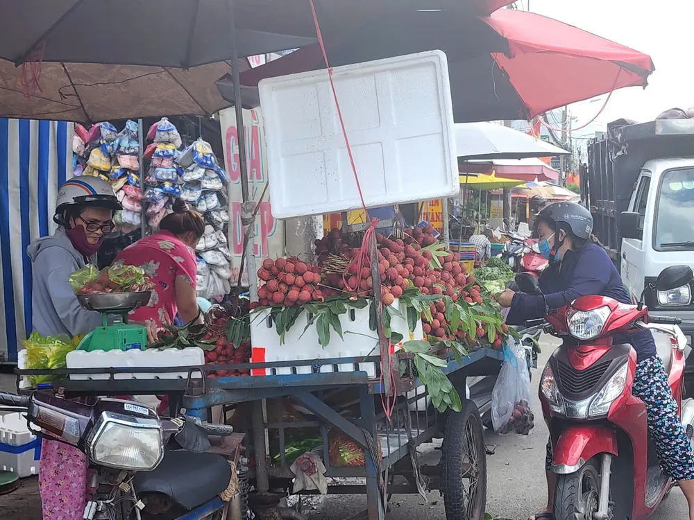 Vải thiều được bày bán tràn ngập tại các chợ truyền thống ở TPHCM. Ảnh: ĐỨC TRUNG z6773831537562_9a479b3e42f901cf3dc3fad9bd1acaaa.jpg