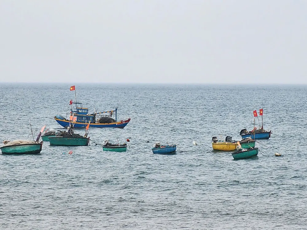 Ngư dân tỉnh Lâm Đồng đánh bắt cá ngoài khơi. Ảnh: ĐỨC TRUNG z6879250609772_b16d7fb748110c68cce540cc4aad308d.jpg