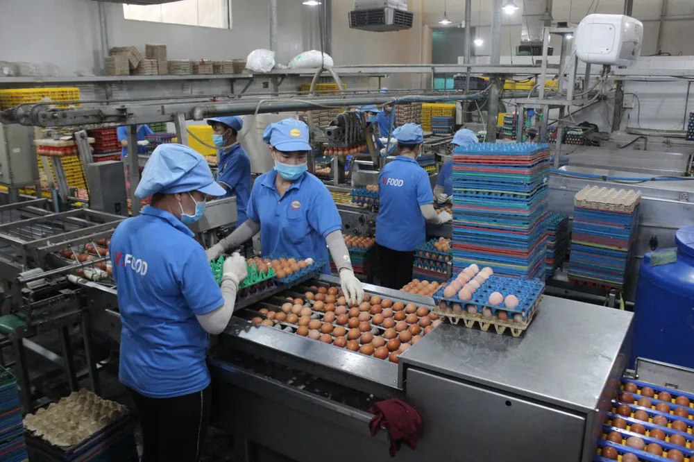 Sản xuất trứng gà tại Công ty CP thực phẩm Vĩnh Thành Đạt (TPHCM) z6888781718785_594c117c9d70408c69db927320804d05.jpg