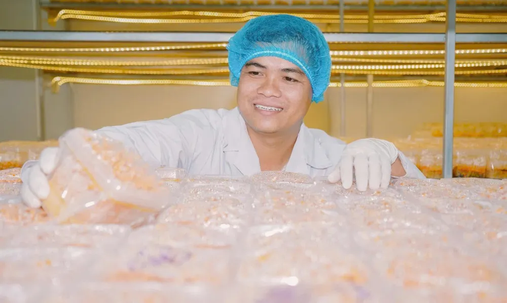 Nông dân trẻ Trần Tài với nhiều kiến thức, kỹ năng làm nông nghiệp công nghệ cao z7169555230343_b427b58ecb9ffcf2056b43f74975a148.jpg