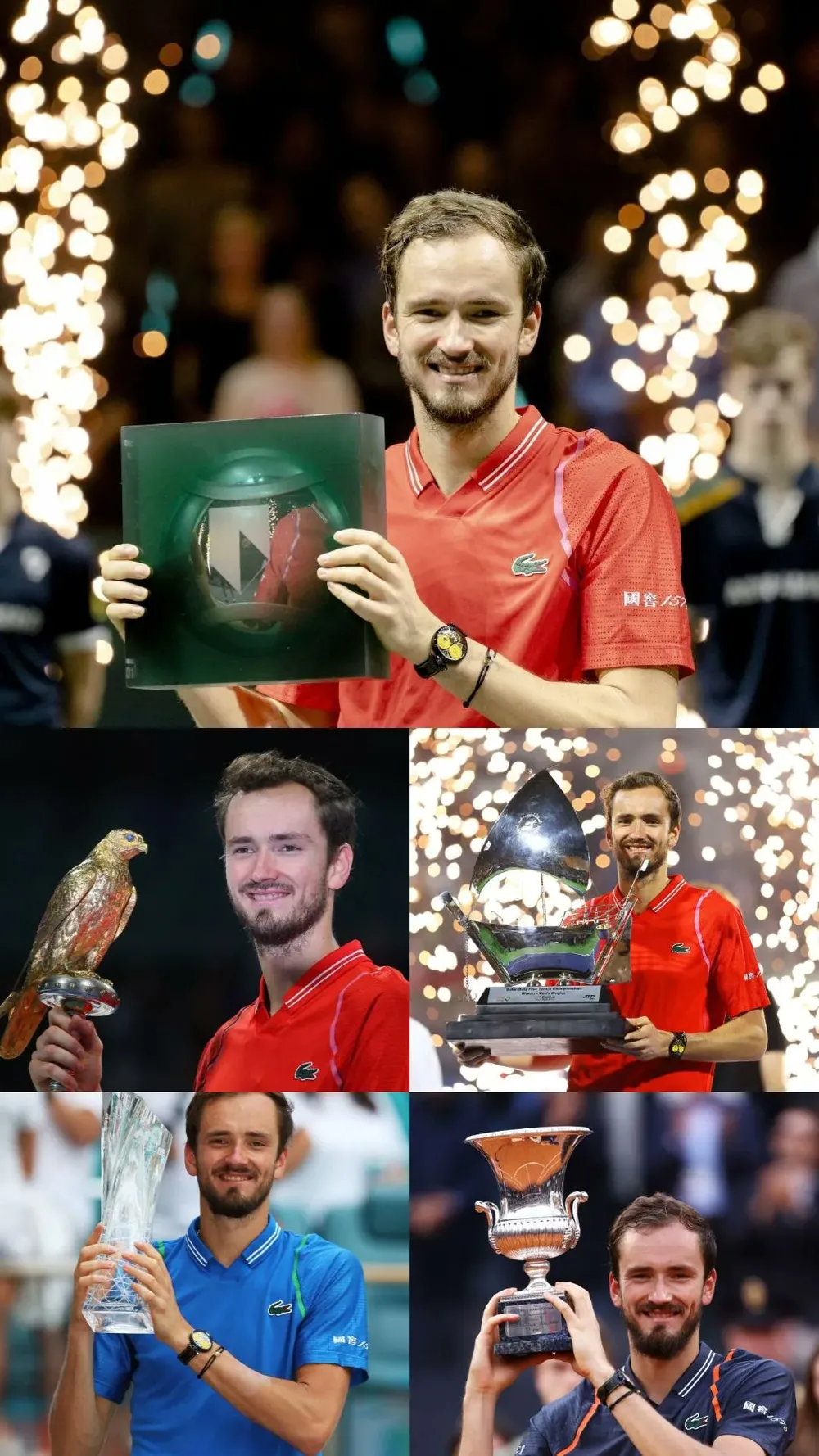 Các chiếc cúp vô địch trong năm nay của Medvedev