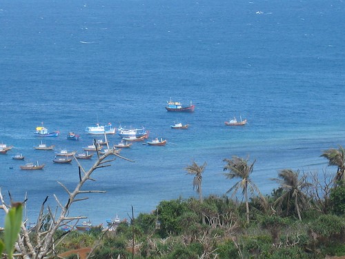 平順省富貴島  如詩如畫的島嶼 ảnh 1