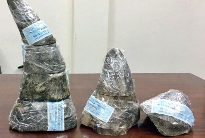 非法運輸總重量近5公斤的犀牛角被查獲。