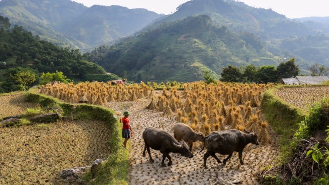 越南有很多地方值得探索 ảnh 1