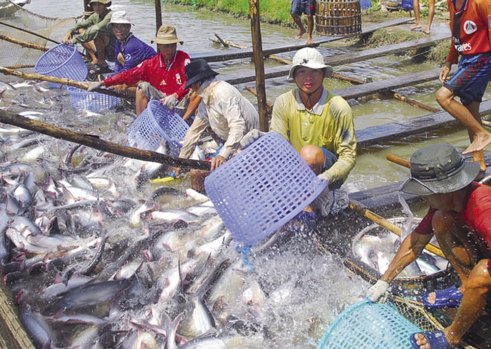 示意圖。（圖片來源：互聯網）