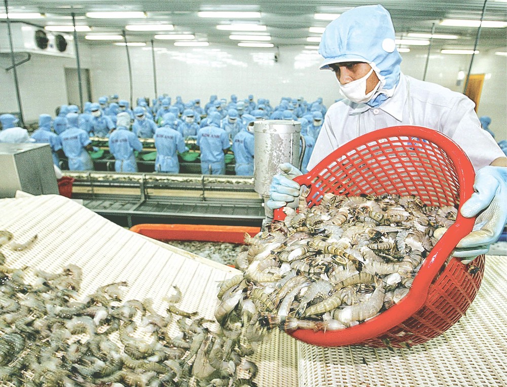 我國蝦隻出口到世界各個市場。