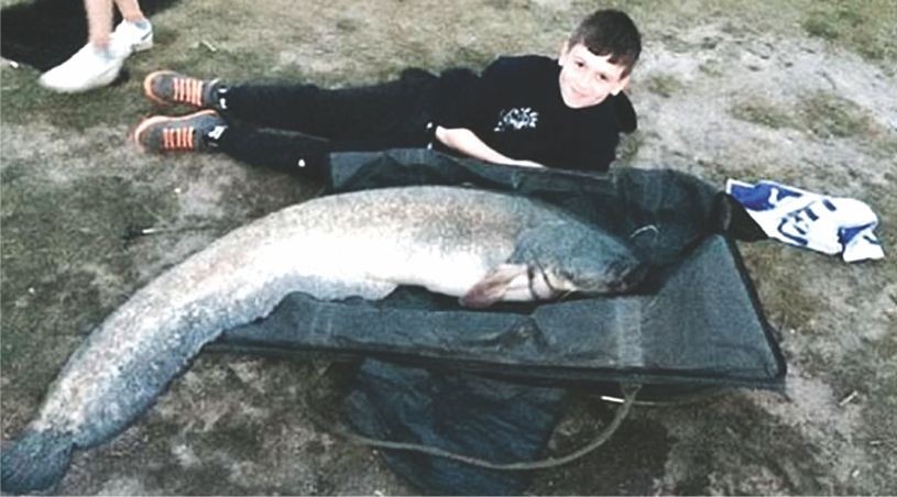 （資料圖：互聯網）