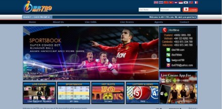 特大網絡賭博團夥被摧毀 ảnh 1