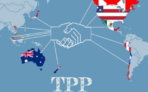 示意圖。（圖源： Motley）