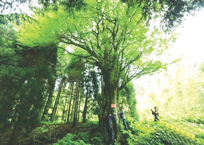 （圖片來源：互聯網）