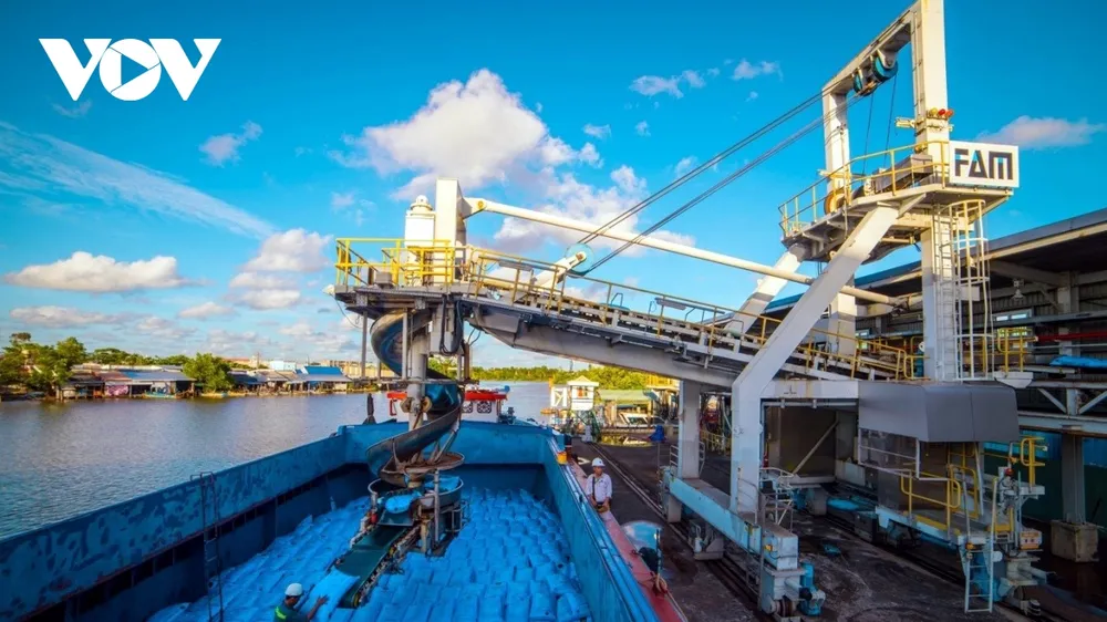 Doanh nghiệp xuất, nhập khẩu đều phải có kịch bản ứng phó với biến động của tỷ giá