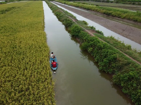 ĐBSCL đứng trước nguy cơ khô hạn khắc nghiệt vì El Nino