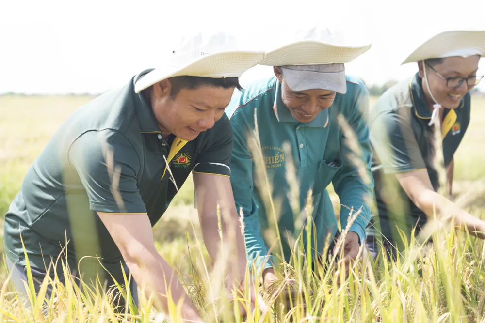 Kỹ sư nông nghiệp của LTG và nông dân thăm một cánh đồng lúa tại khu vực ĐBSCL Kỹ sư nông nghiệp của LTG và nông dân thăm một cánh đồng lúa tại khu vực ĐBSCL