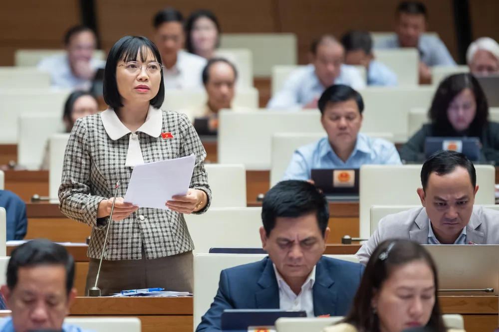 Đại biểu Nguyễn Thị Việt Nga Đại biểu Nguyễn Thị Việt Nga