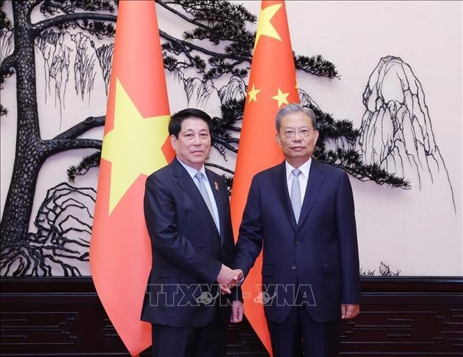 越南国家主席梁强与中国全国人大常委会委员长赵乐际。