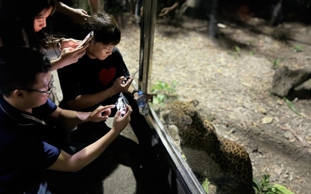 西贡草禽园推出的新活动将为民众、游客带来新奇的夜间动物世界体验。