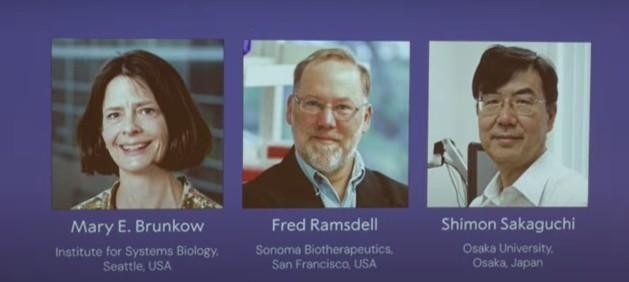 2025年诺贝尔生理学或医学奖揭晓