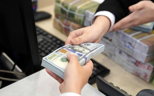 胡志明市接收近80亿美元侨汇