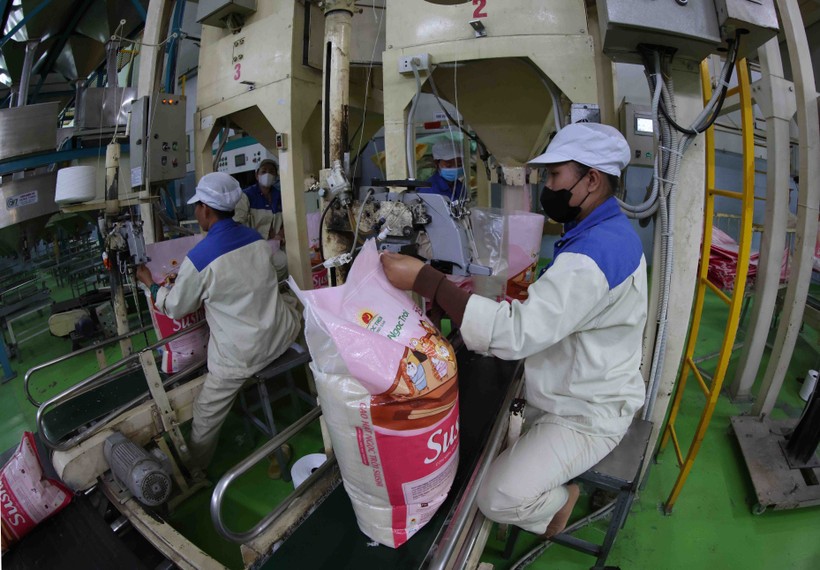 《越南—新加坡大米贸易合作谅解备忘录》获批