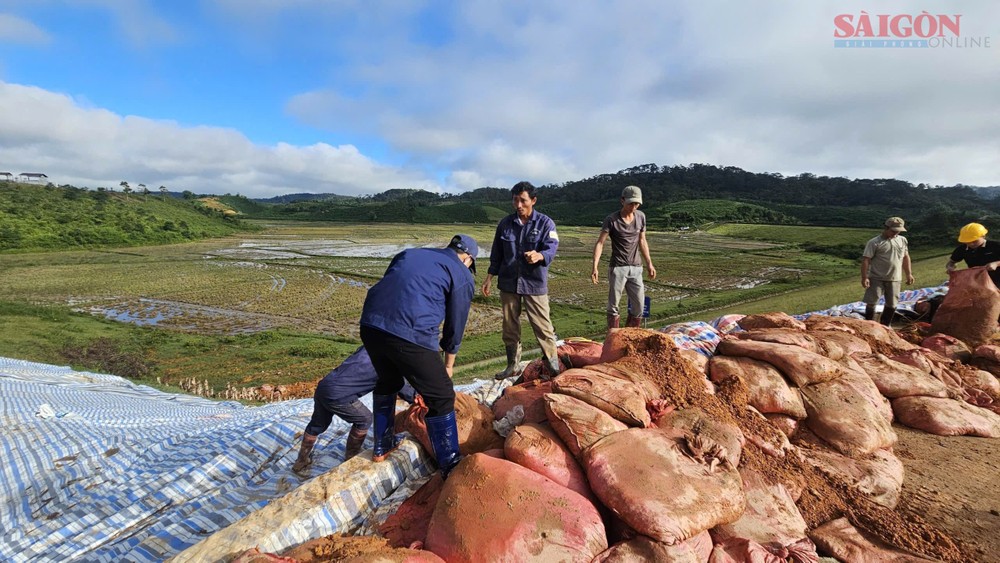 2  z7200954001702-746d5d5c388880aca05a56367eb80116-5661-1228.jpg