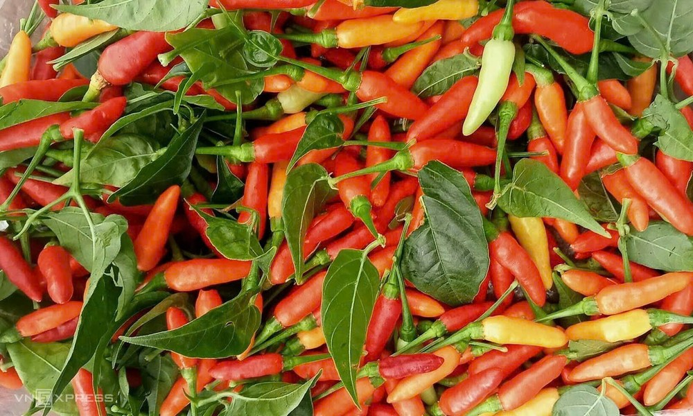 辣椒价格堪比牛肉