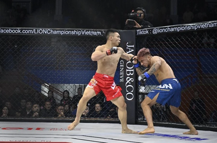 Võ thuật tổng hợp (MMA) sẽ có Quy chế chuyên nghiệp tại Việt Nam trong thời gian tới đây. Ảnh: VMMAF