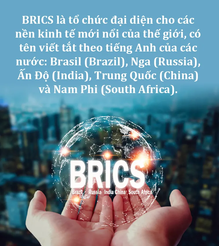 Viet Nam co tham gia nhom BRICS-1.jpg